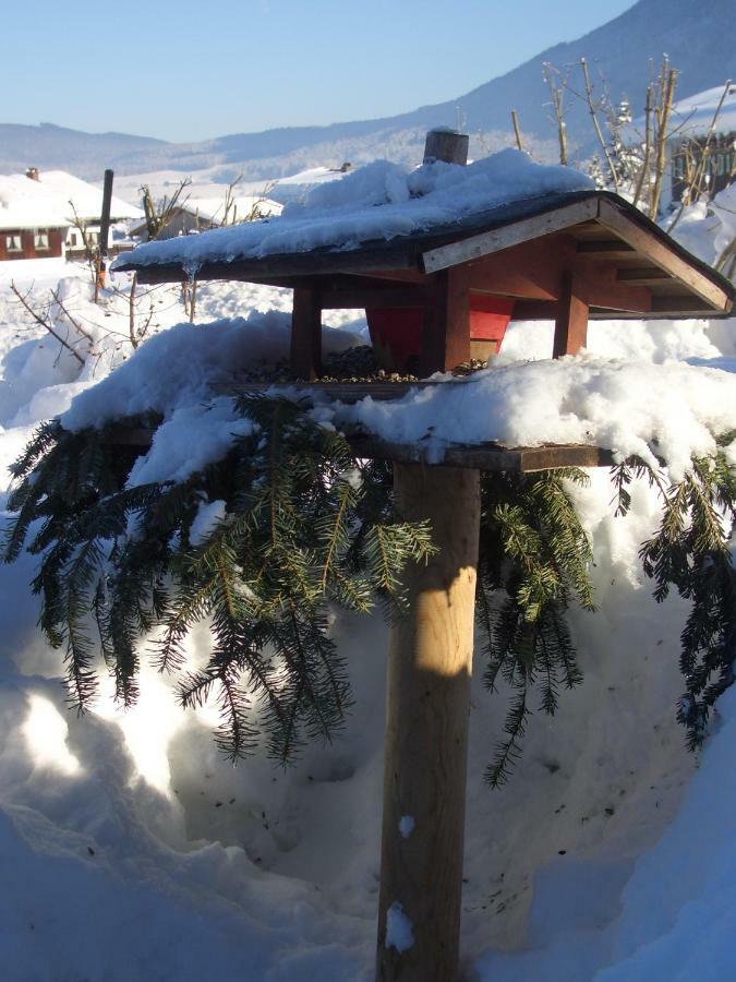 Haus Bergschmied Apartment Inzell Exterior photo